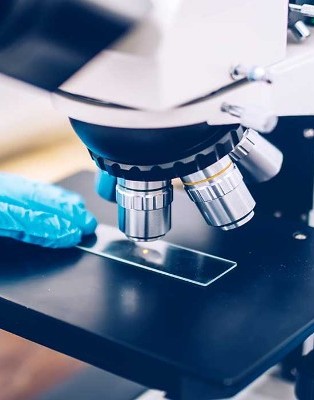 microscope slide microscope slide