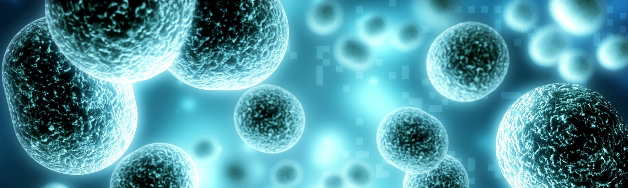 cells blue