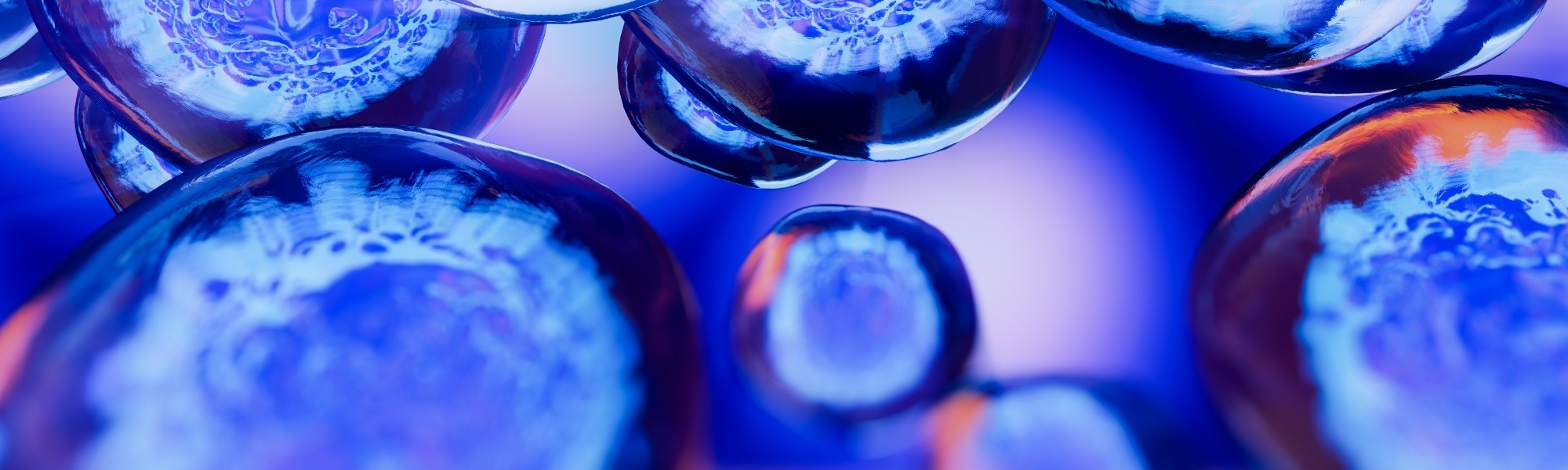 cells purple bottom cells purple bottom